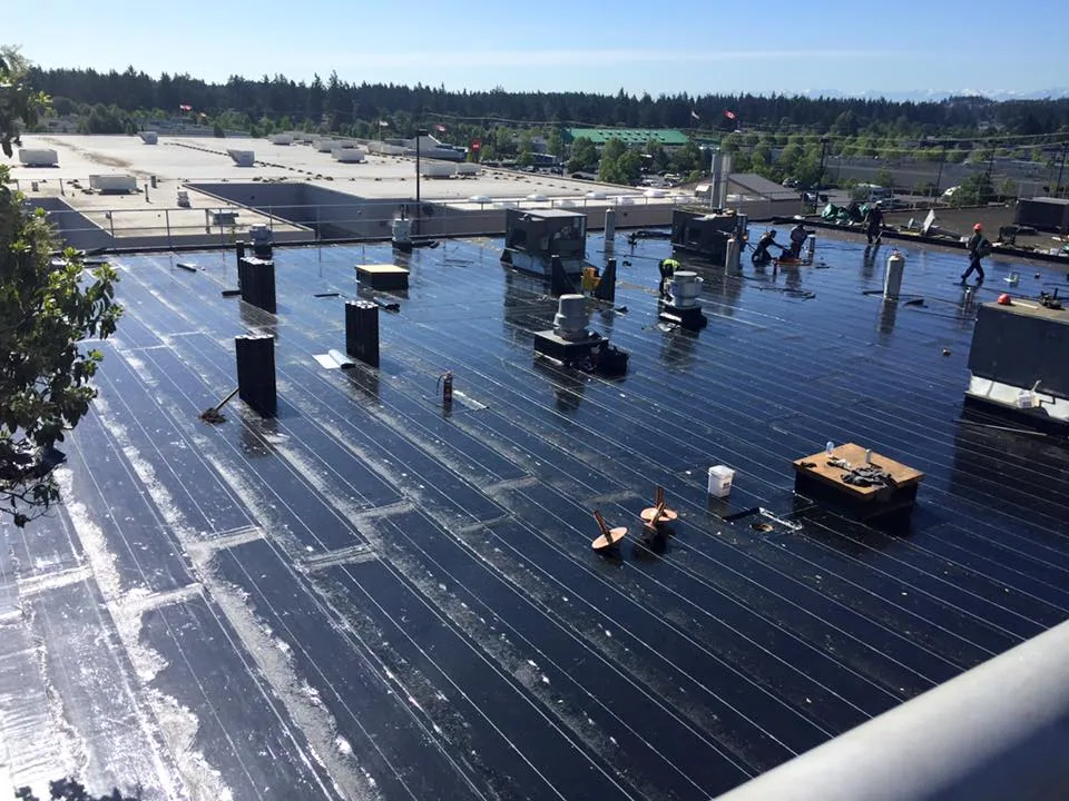 Roof Condition Reports in Dearborn, MI in Dearborn, MI