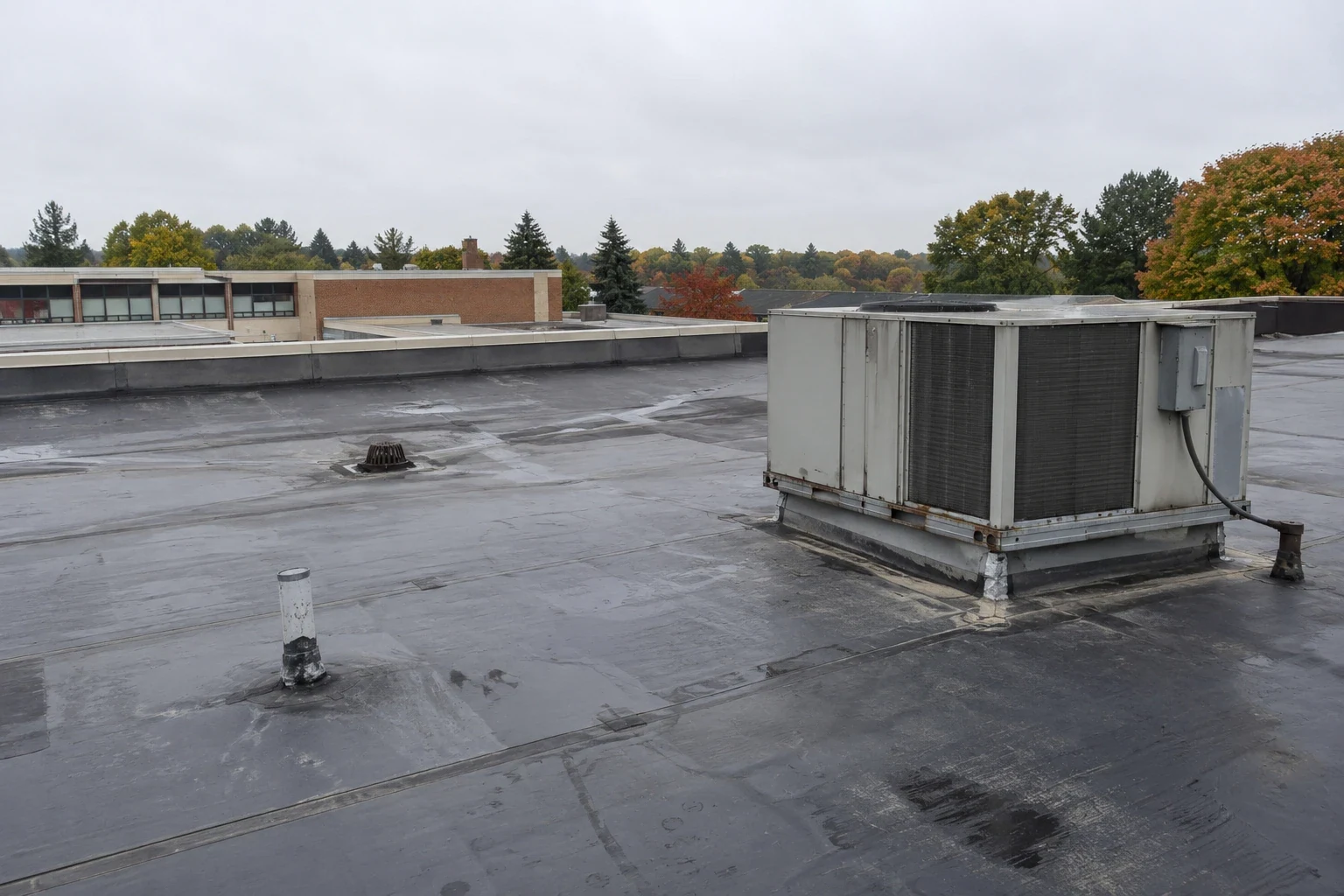 School Roofing in Dearborn, MI in Dearborn, MI