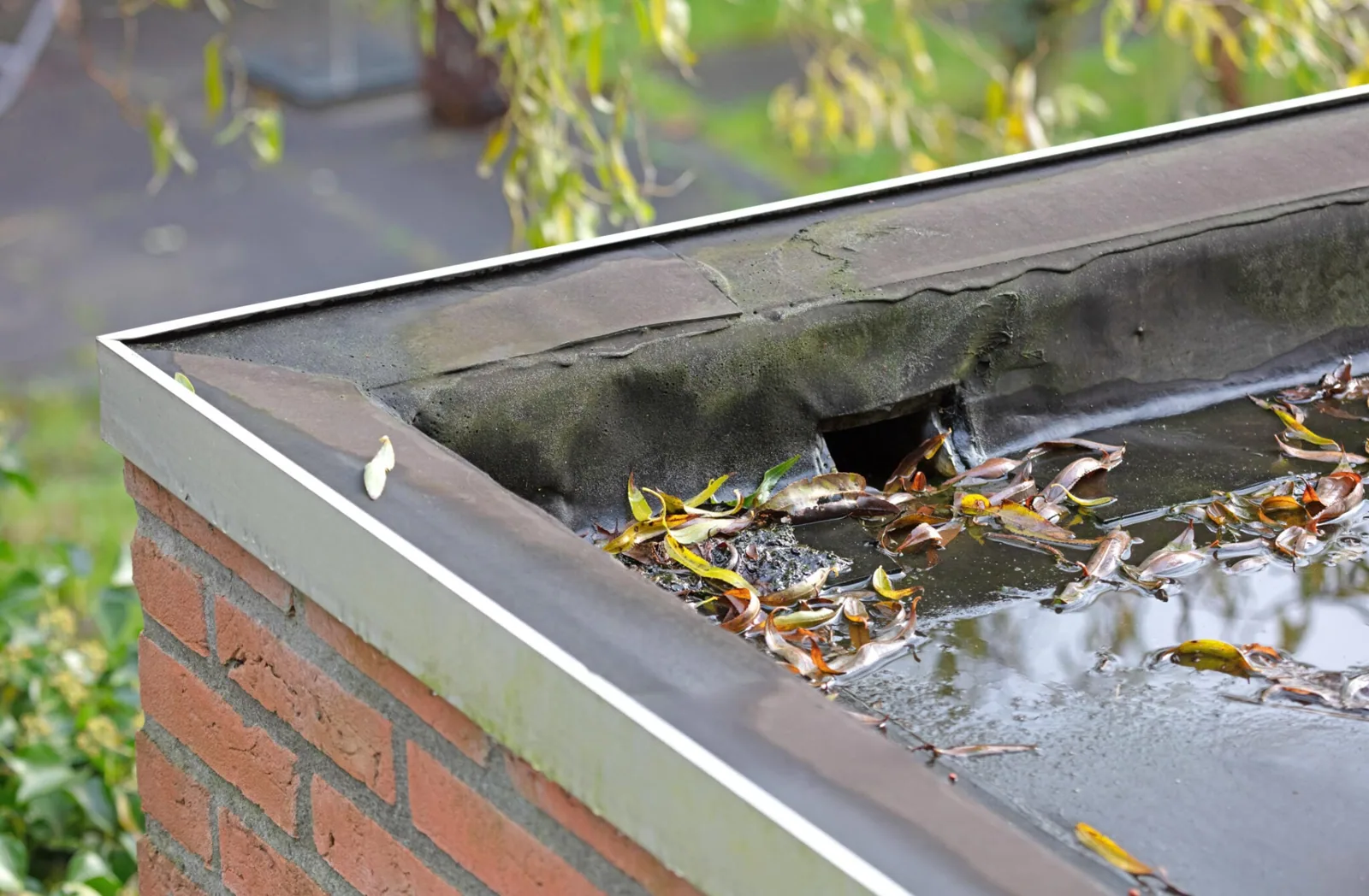 Commercial Roof Drains and Scuppers in Dearborn, MI in Dearborn, MI